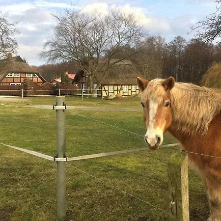 Storchensicht - With Sauna