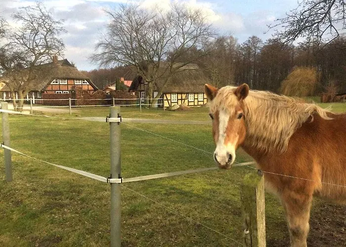 Storchensicht - With Sauna